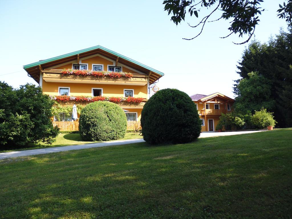 Pension David Puch bei Hallein Exterior photo